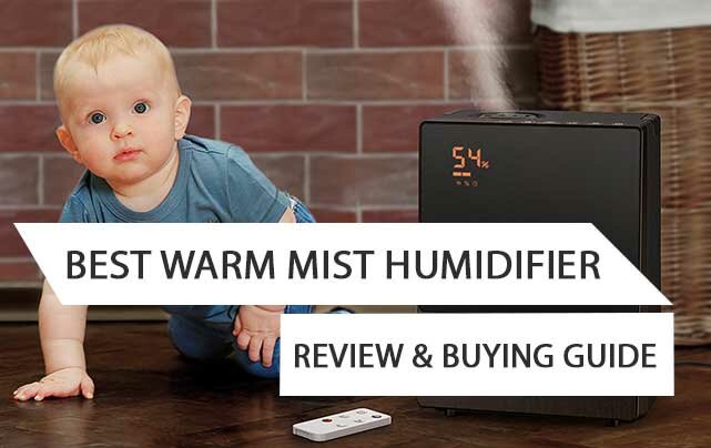 Best Warm Mist Humidifier Review